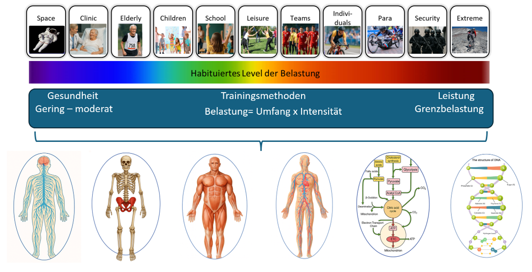 Belastungsspektrum und Systemantworten