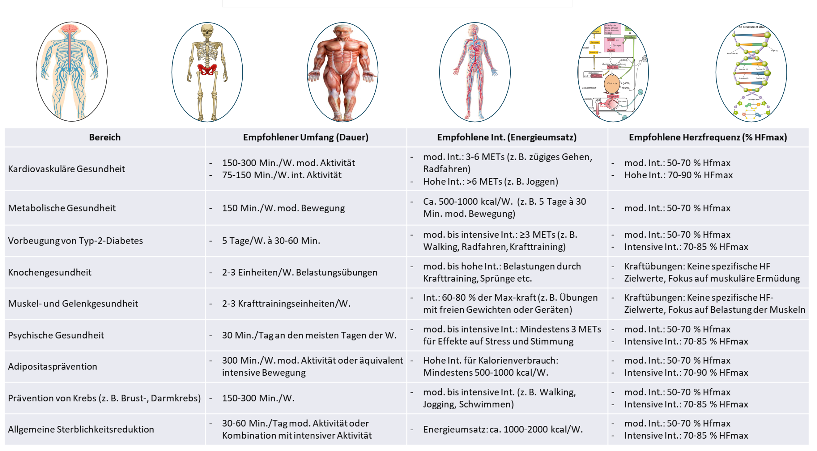 Körperliche Aktivität
